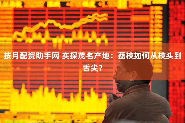 按月配资助手网 实探茂名产地：荔枝如何从枝头到舌尖？