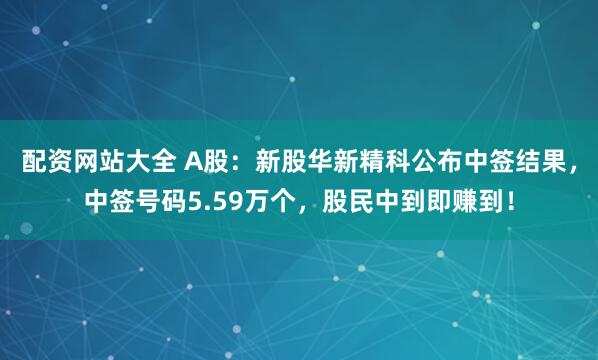 配资网站大全 A股：新股华新精科公布中签结果，中签号码5.59万个，股民中到即赚到！